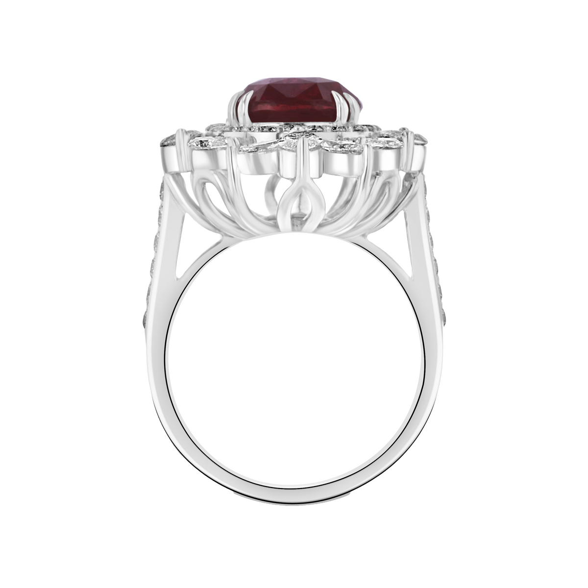 Juleve 18kt White Gold 6.03 ct Ruby & 2.01 ctw Diamond Halo Ring 5.5,6,6.5,7,7.5
