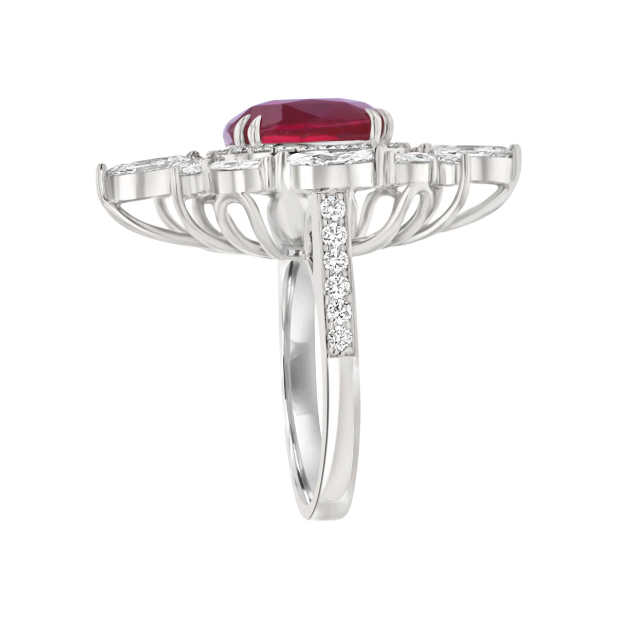 Juleve 18kt White Gold 6.03 ct Ruby & 2.01 ctw Diamond Halo Ring 5.5,6,6.5,7,7.5