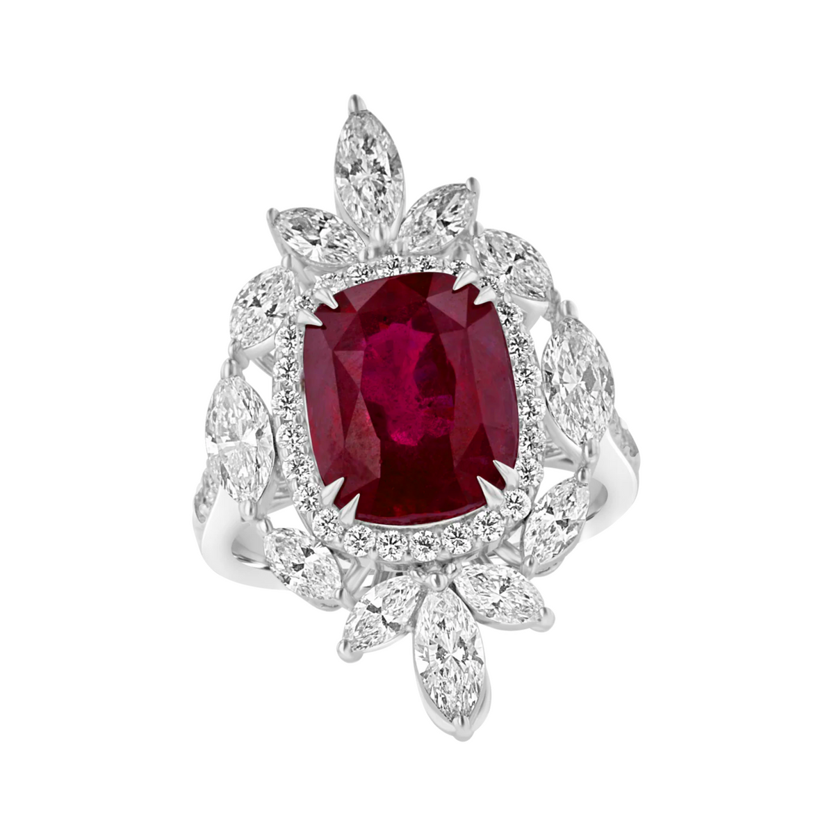 Juleve 18kt White Gold 6.03 ct Ruby & 2.01 ctw Diamond Halo Ring 5.5,6,6.5,7,7.5