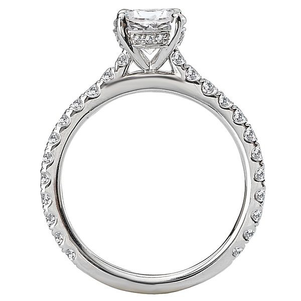 18KT White Gold 1.50 CTW Diamond Accented Head Ring I1 / 4,I1 / 4.5,I1 / 5,I1 / 5.5,I1 / 6,I1 / 6.5,I1 / 7,I1 / 7.5,I1 / 8,I1 / 8.5,I1 / 9,SI / 4,SI / 4.5,SI / 5,SI / 5.5,SI / 6,SI / 6.5,SI / 7,SI / 7.5,SI / 8,SI / 8.5,SI / 9,VS / 4,VS / 4.5,VS / 5,VS / 5.5,VS / 6,VS / 6.5,VS / 7,VS / 7.5,VS / 8,VS / 8.5,VS / 9