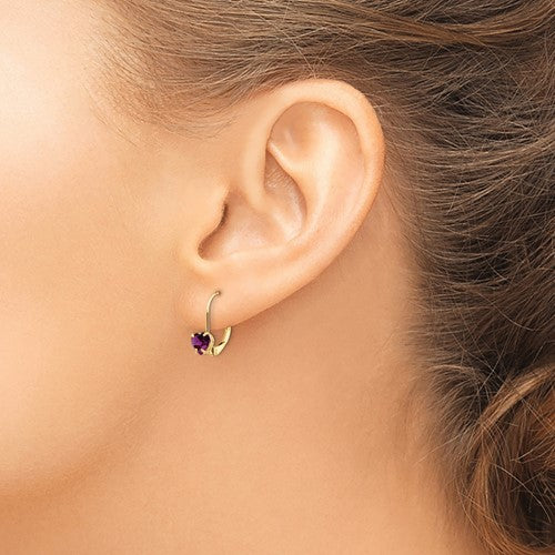 14KT YELLOW GOLD 1.00 CTW RHODOLITE GARNET LEVERBACK EARRINGS